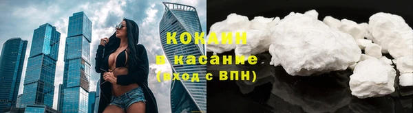 соль ск Горнозаводск