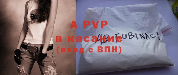 ECSTASY Горняк