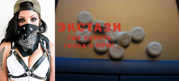 ECSTASY Горняк