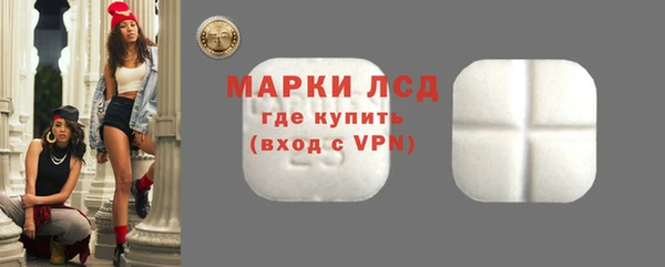 ECSTASY Горняк