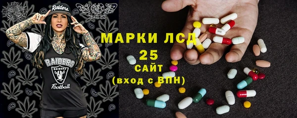 соль ск Горнозаводск