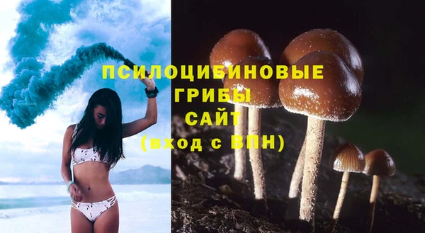 соль ск Горно-Алтайск
