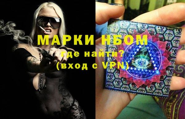 ECSTASY Горняк