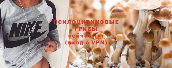 соль ск Горно-Алтайск