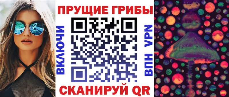 Псилоцибиновые грибы мицелий  Моршанск 