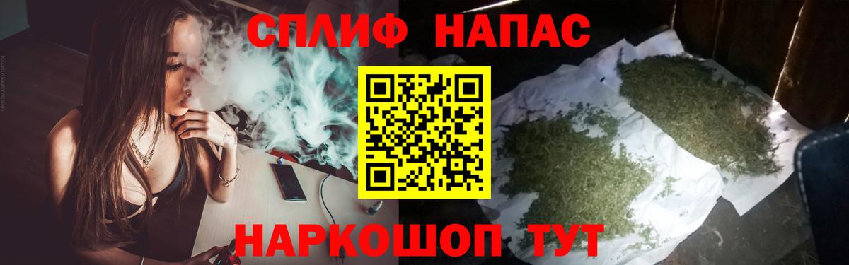 Бошки марихуана планчик  Шишки марихуана планчик  Моршанск  Бошки марихуана марихуана 